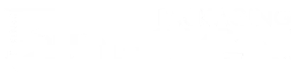 s-und-p.ch Logo Weiß