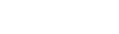 Victus Vision Logo Weiß