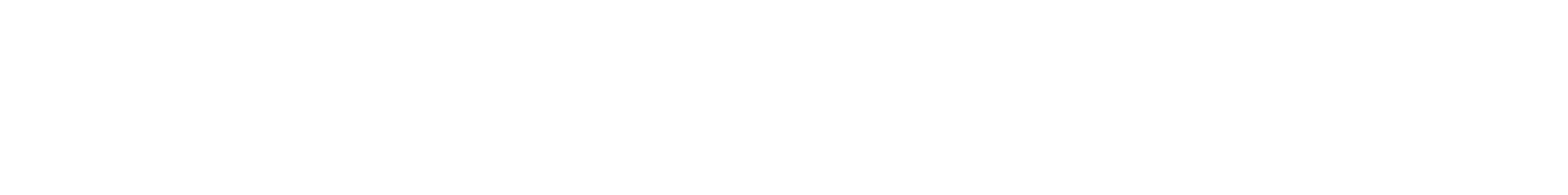 Online Marketing Magazin Logo Weiß