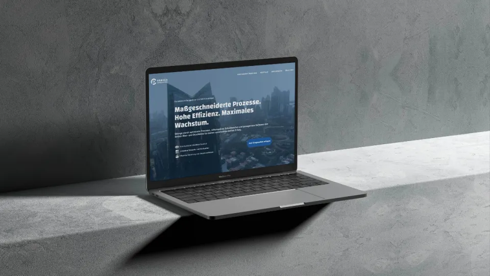 Individuelle Website Pangea Consulting